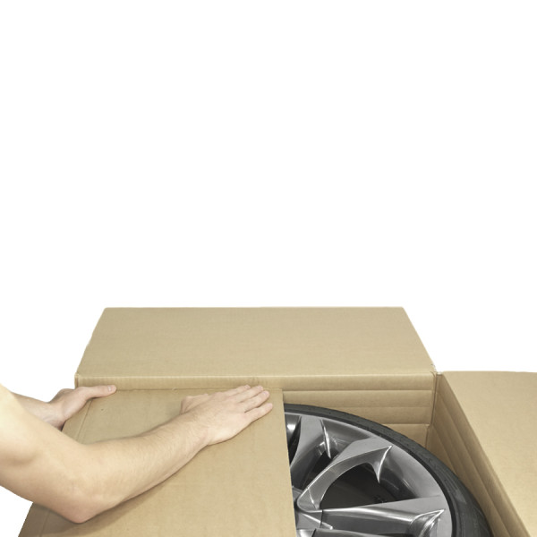eBay Auktionsvorlage Saluto