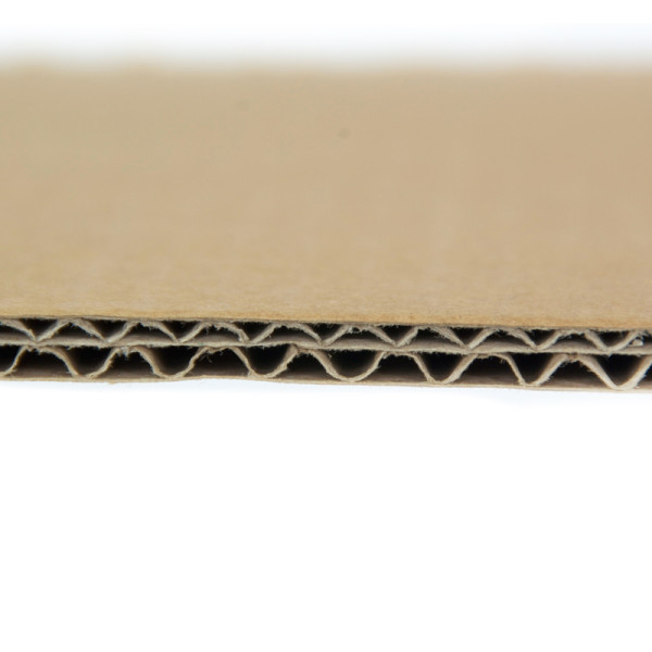 eBay Auktionsvorlage Saluto